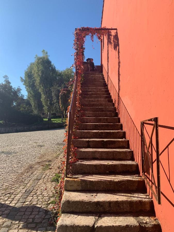 Casette Rosse Nel Borgo Medievale Di Fossanova Latina Exterior foto