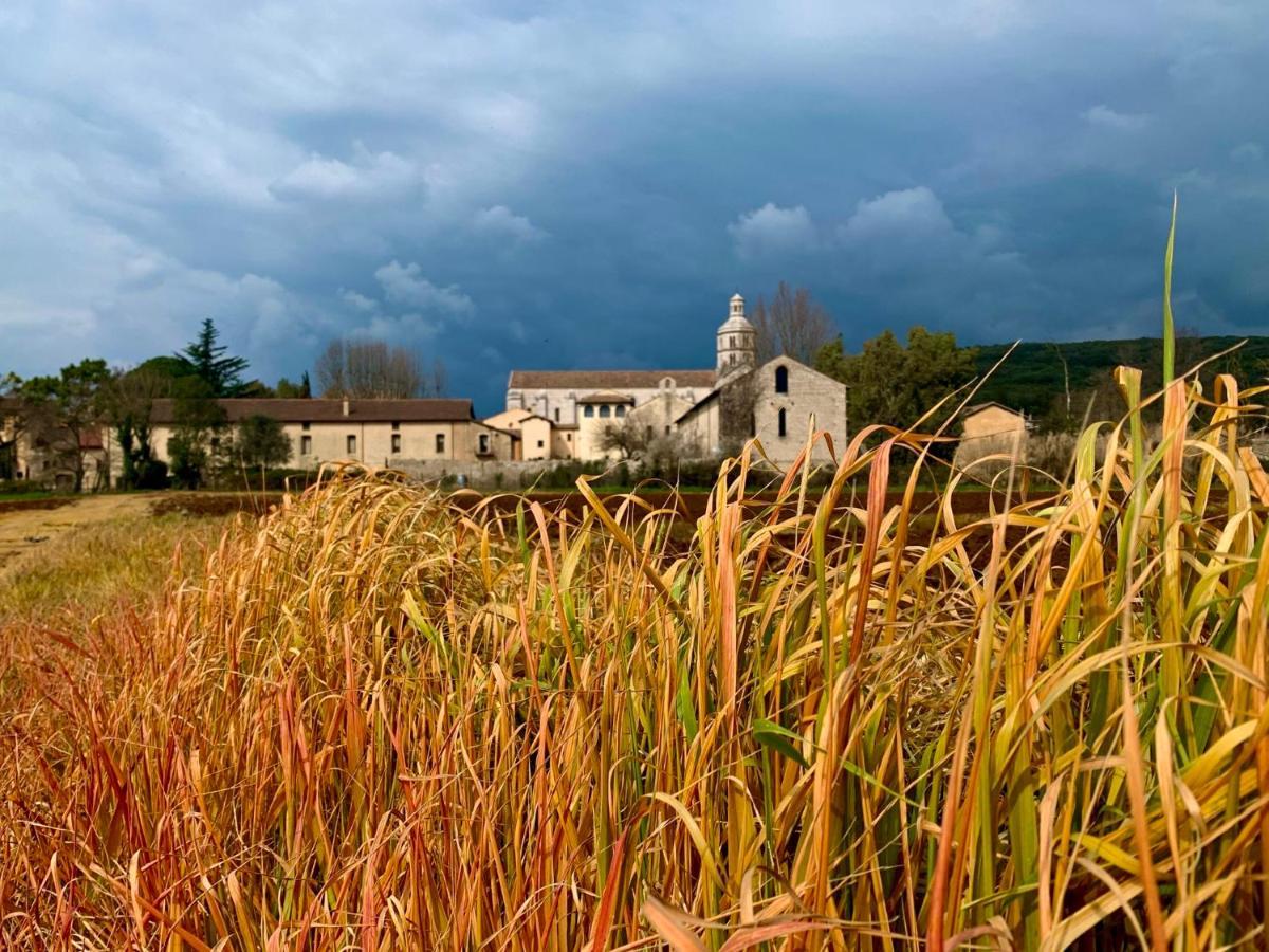 Casette Rosse Nel Borgo Medievale Di Fossanova Latina Exterior foto